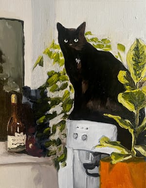 Tom the Cat, December 2024